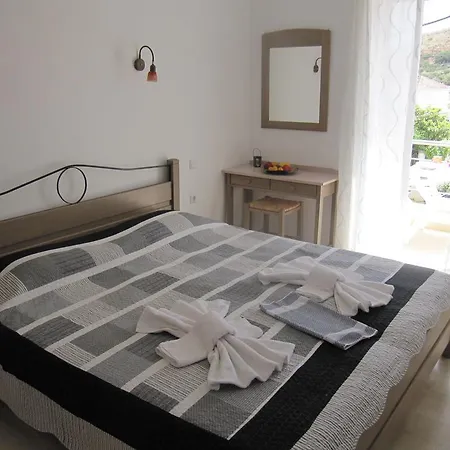 Lion-suites *